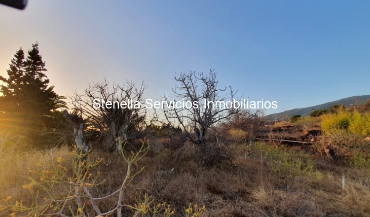 Terreno