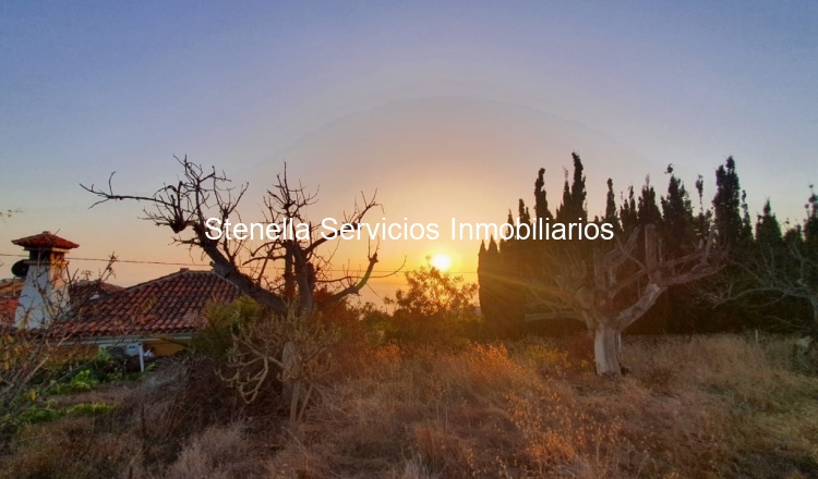 Terreno 